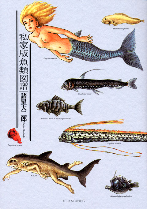 私家版魚類図譜