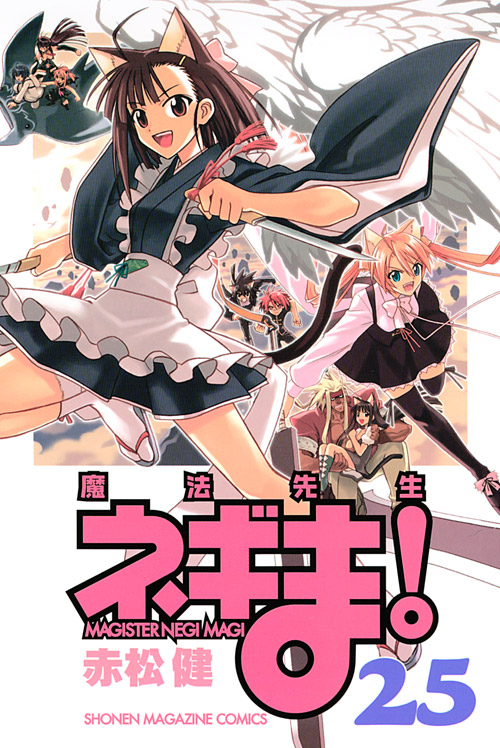 魔法先生ネギま！（２５）